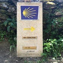 Mrs Keane's Virtual Camino Walk