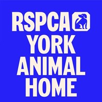 York RSPCA Animals Home
