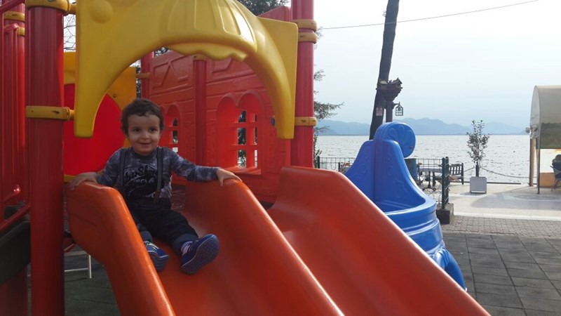 cover photo