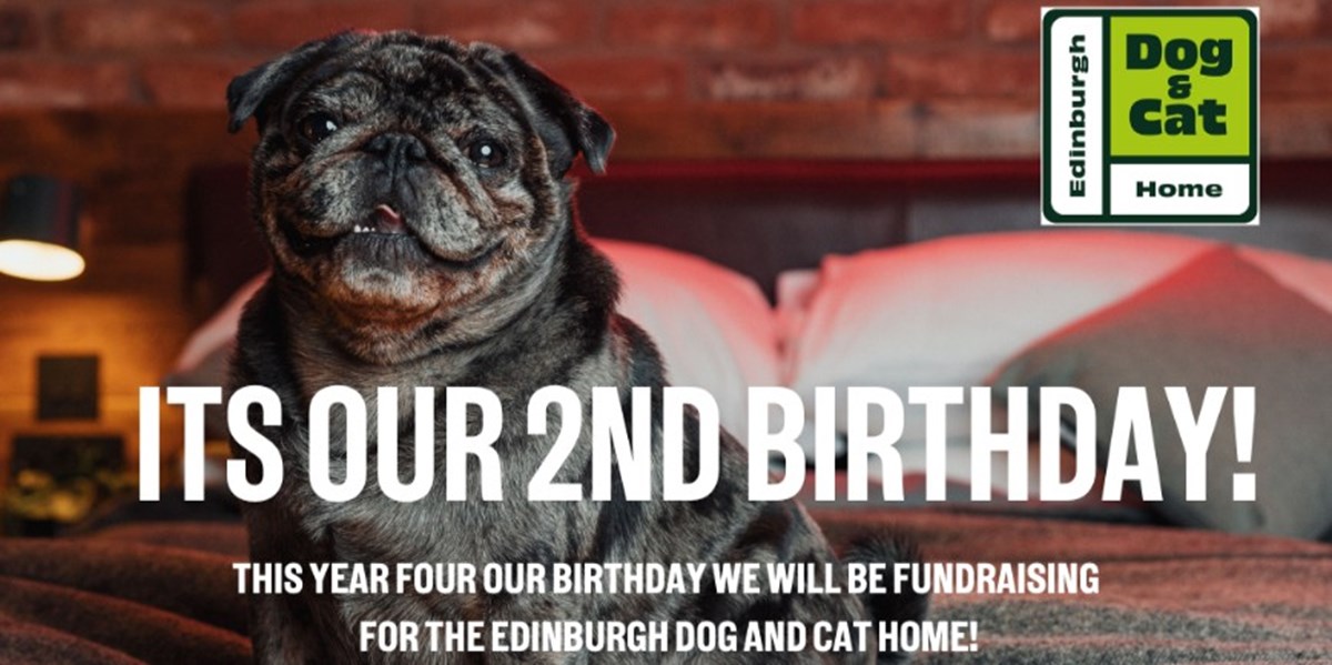 Doghouse Edinburgh is fundraising for Edinburgh Dog and Cat Home