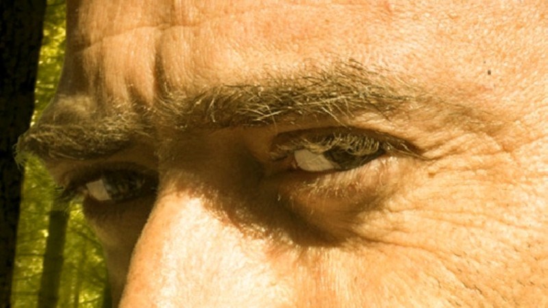 cover photo