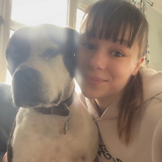 Ava's fundraising page