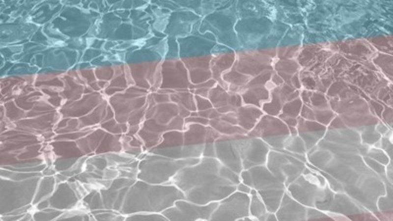 The Swim Proud Fund: An Update