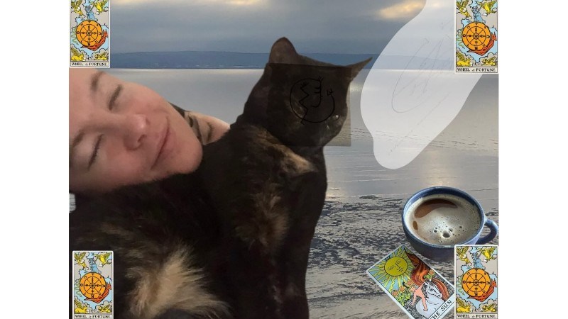cover photo