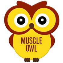 Muscle Owl