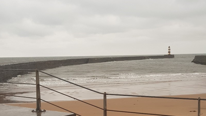 cover photo