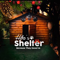 Hiba Shelter