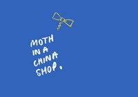 Moth in a China Shop