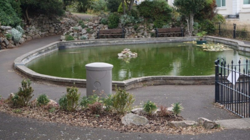 cover photo
