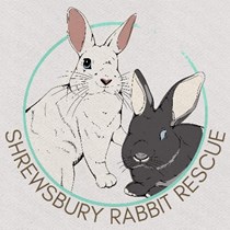 Shrewsbury rabbit rescue 