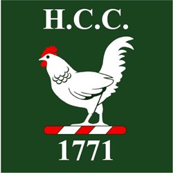 Team logo