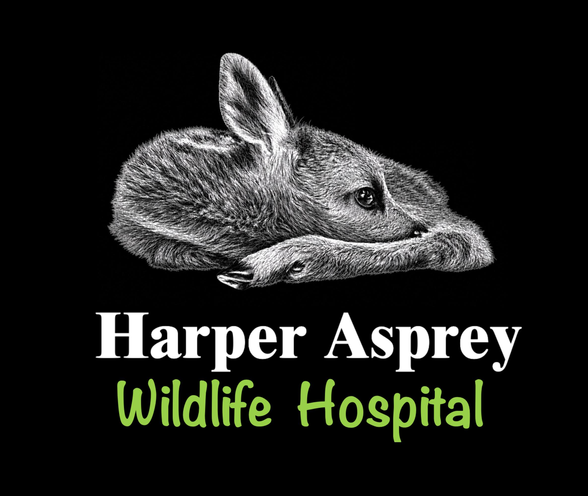 Harper Asprey Wildlife Rescue