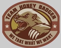 Team logo