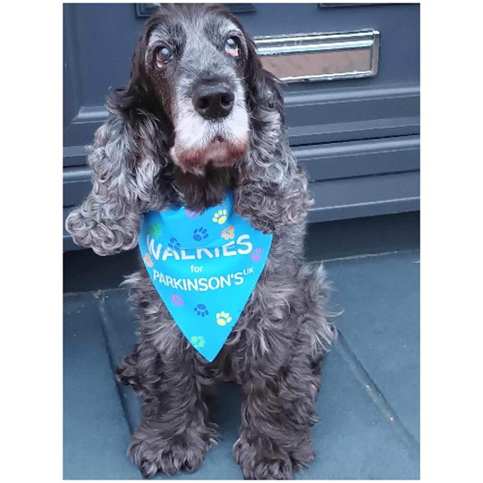 Millie walks for Parkinson's, with the help of her Auntie Boo