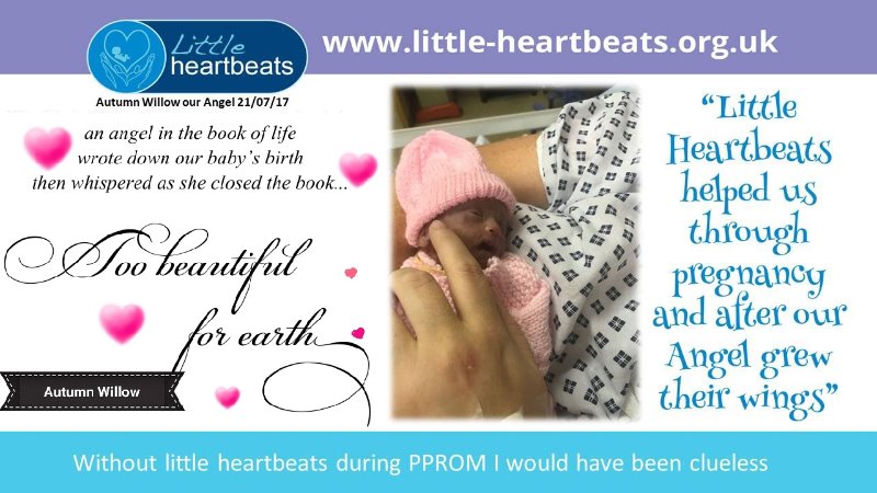 crowdfunding-to-support-little-heartbeats-who-help-to-spread-awareness