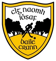 St Joseph's GAA club, Ballycran