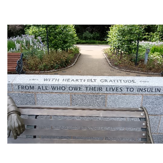 Fiona's fundraising page