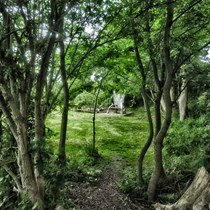 Station Master's Garden