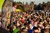 Fundraiser icon