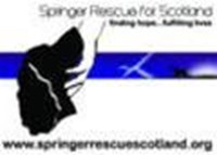 Springer Rescue for Scotland