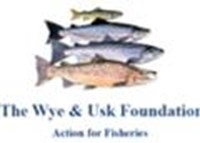 The Wye And Usk Foundation